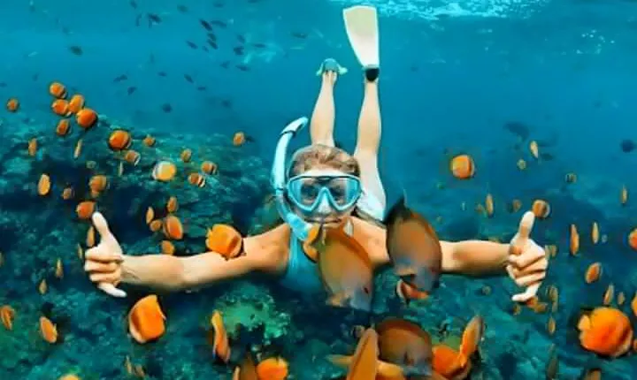 Private Motorbike Standup Paddle and Snorkel Blue Lagoon Bali