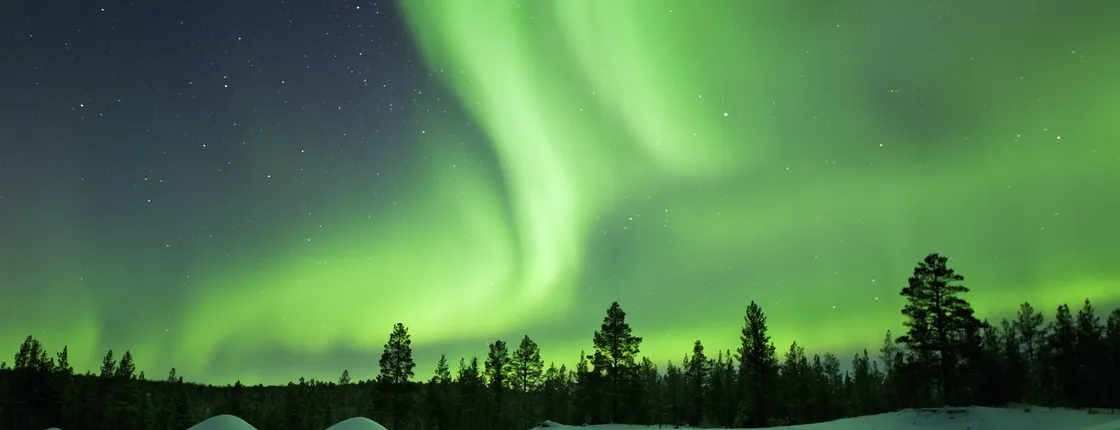 Night of reindeer and northern lights