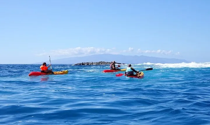 Guided Kayak Expedition to Tenerife's Hidden Beaches
