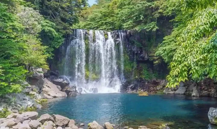 Jeju Western and Southern Routes Sightseeing Day Tour