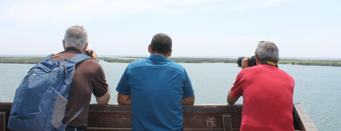 Ebro Delta Between Lagoons Guided Tour