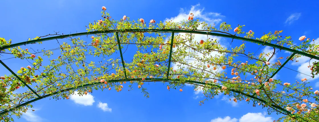 Full-Day Trip to Giverny and Claude Monet's House and Gardens from Paris
