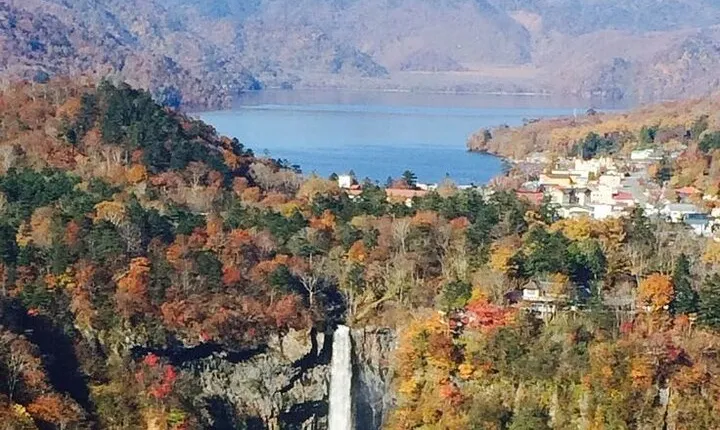 Full Day Private tour & sightseeing to Nikko(Eng speaking Driver)