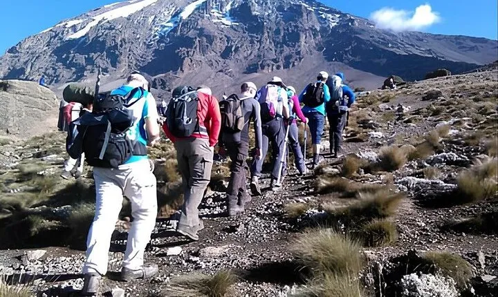 Lemosho Route 8 Days Highlights