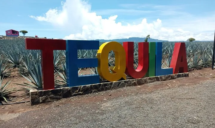 Private Tequila Tour in Guadalajara