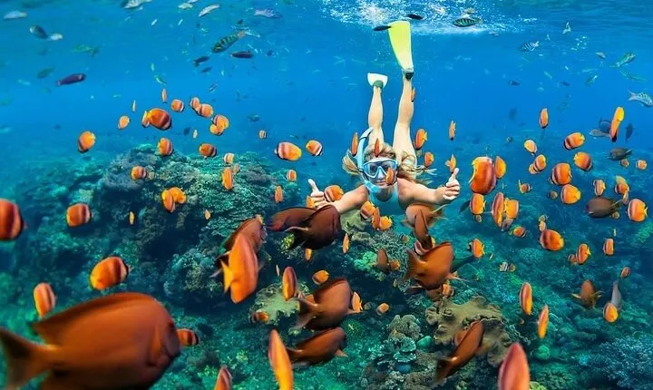 Tiran Island Snorkeling Adventure in Sharm El-Sheikh