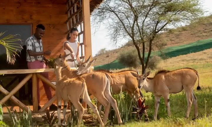 Private Day Tour in Serval Wildlife and Kikuletwa Hot Spring