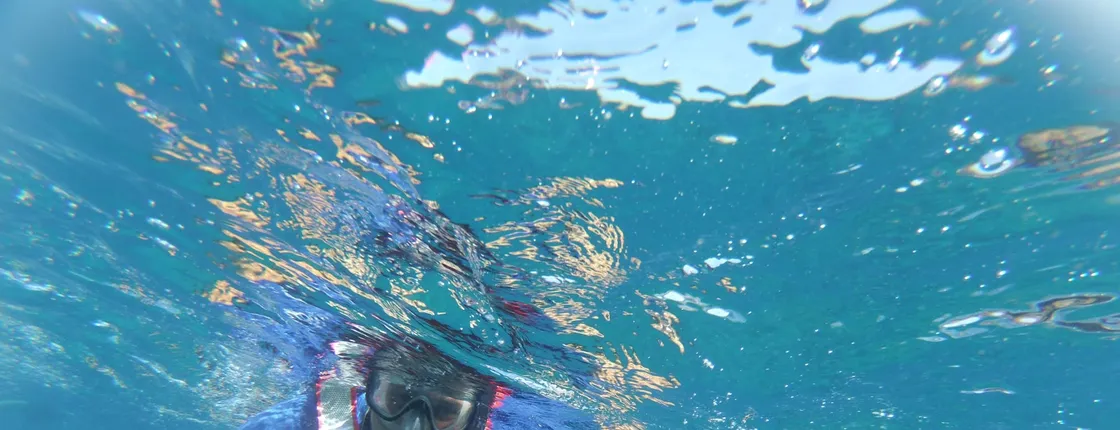 Snorkeling tour in the Bay of Stingrays