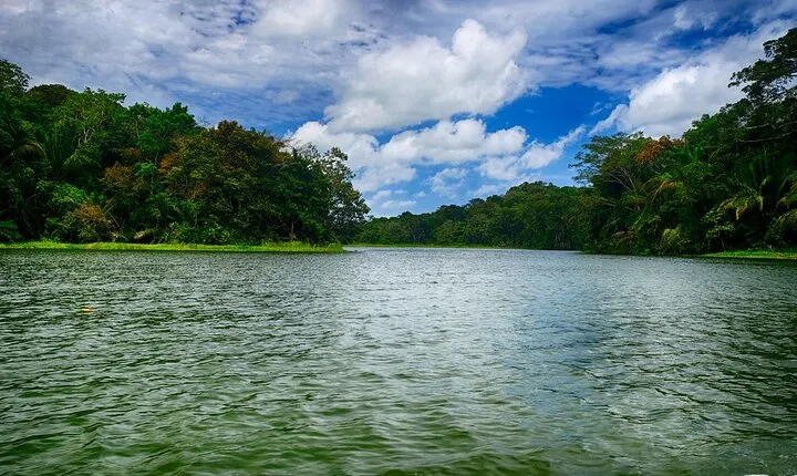 Gatun lake wildlife safari expedition and Miraflores Canal locks
