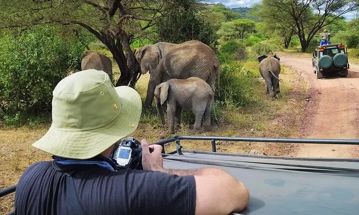 4 Day Mid-range Safari Serengeti ,Ngorongoro and Tarangire