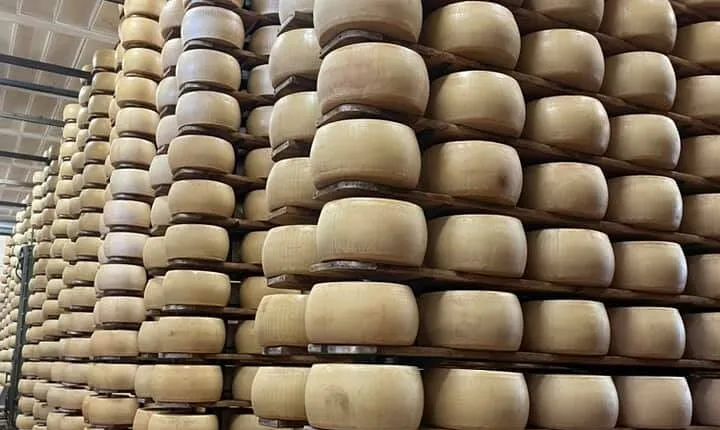Parma Parmigiano + Ham & Wine Private Tours. Including Tastings! 