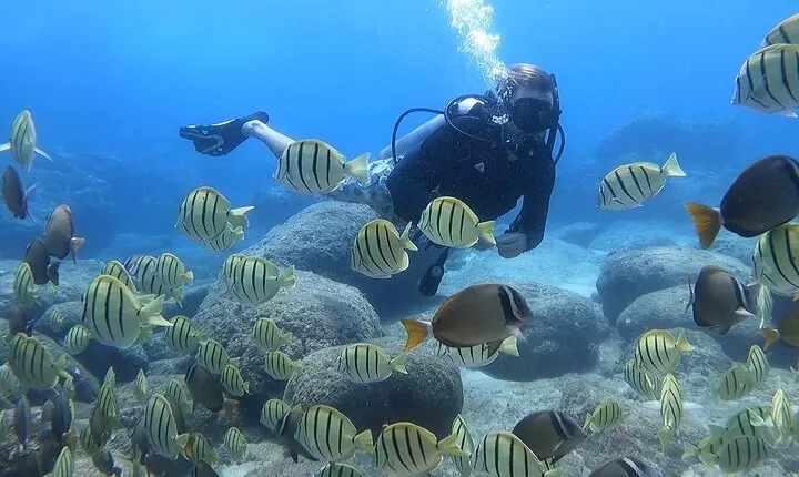 Beginner Scuba Experience with Video Package in Honolulu