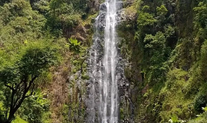 Mt. Kilimanjaro Day hike Materuni waterfall