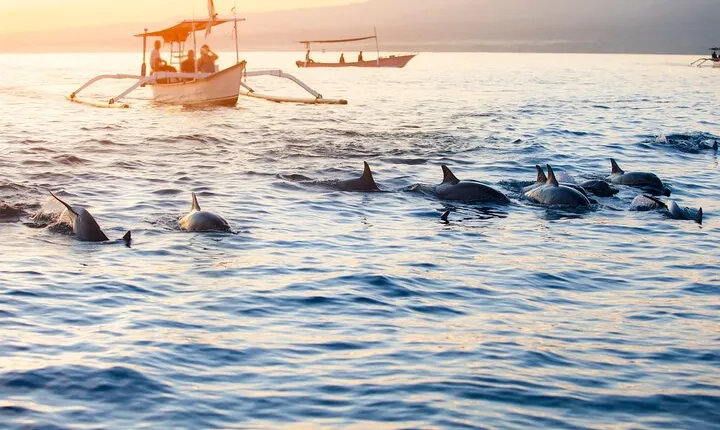 Munduk Waterfall Dolphin and Snorkeling Tour