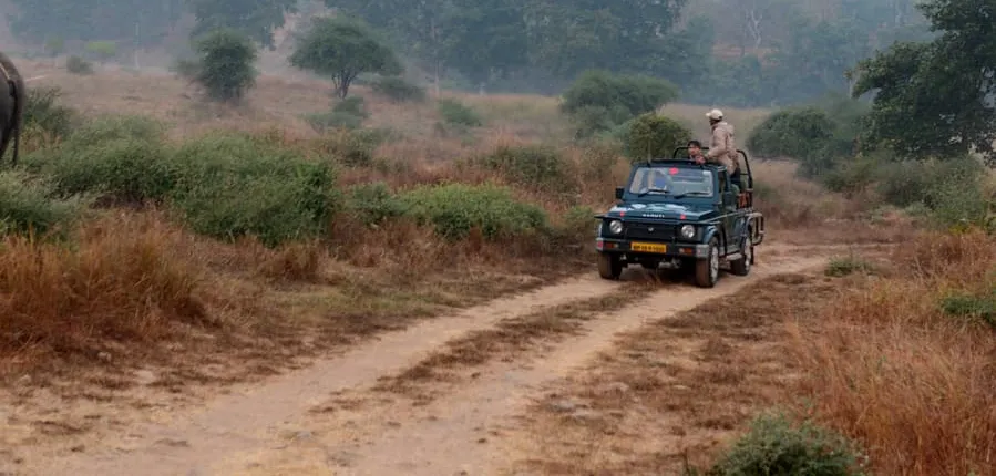 Jungle Majesty & Monumental Marvels: India's Wildlife and History