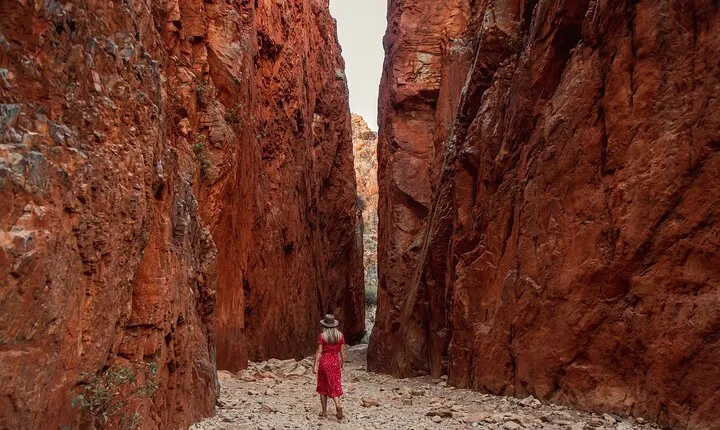 West MacDonnell Ranges & Standley Chasm Day Trip from Alice Springs