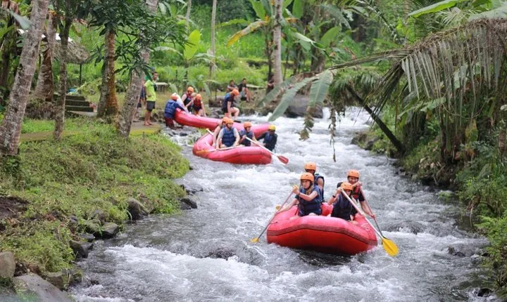 Bali Rafting with Ubud Tour
