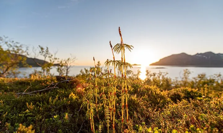 7-Day Self-Drive-Tour Senja Island from Tromsø - Nature & Culture Holiday