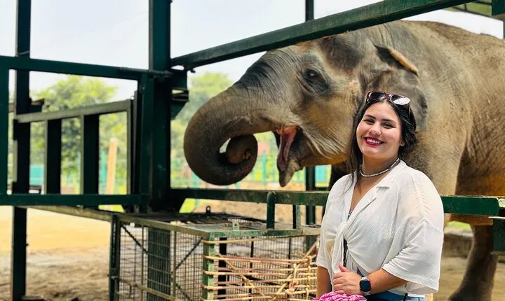 From Delhi: Taj Mahal Sunrise Tour w/ Elephant Conservation