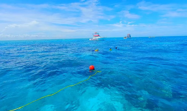 A Unique Private Snorkel Tour of Key Largo