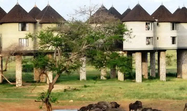 3 Days 2 Nights To Sarova Saltlick And Taita Hills