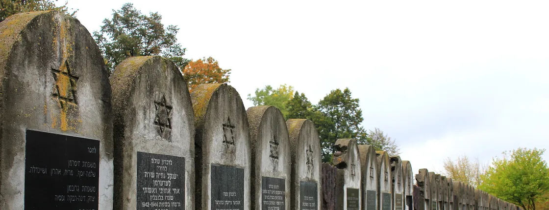Lublin Jewish Heritage Tour - PRIVATE (8h)