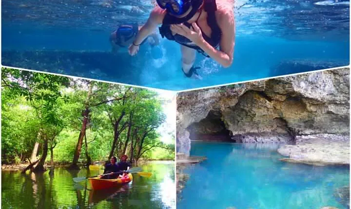 [Ishigaki]Mangrove SUP/Canoe + Blue Cave Snorkeling