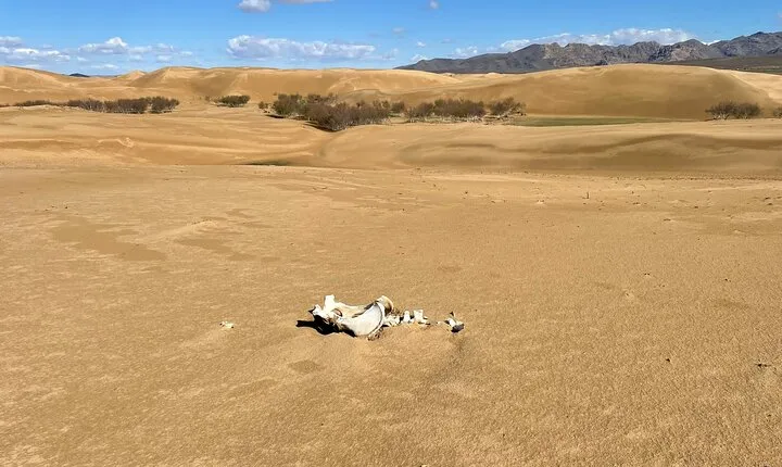 3 Days Guided Tour in Central Mongolia from Ulaanbaatar