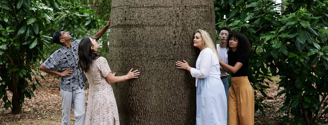 Adelaide Botanic Garden guided tour