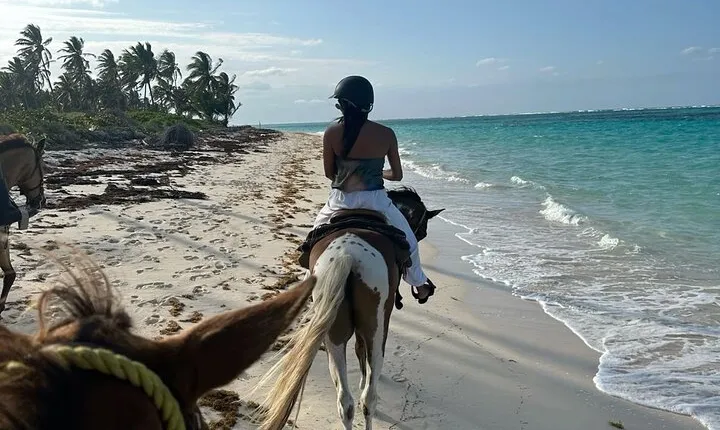 Bali Beach Horse Riding combo with waterfall All Inclusive