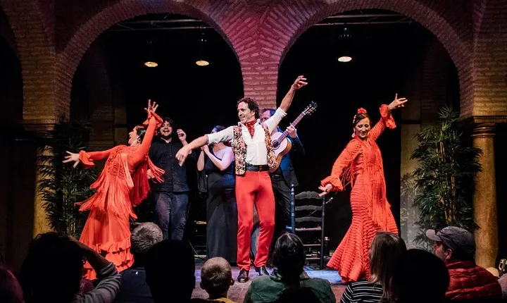Seville: Puro Flamenco Show - Museo del Baile Flamenco