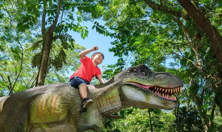 6 Hours Giant Zipline Adventure Park in Fiji