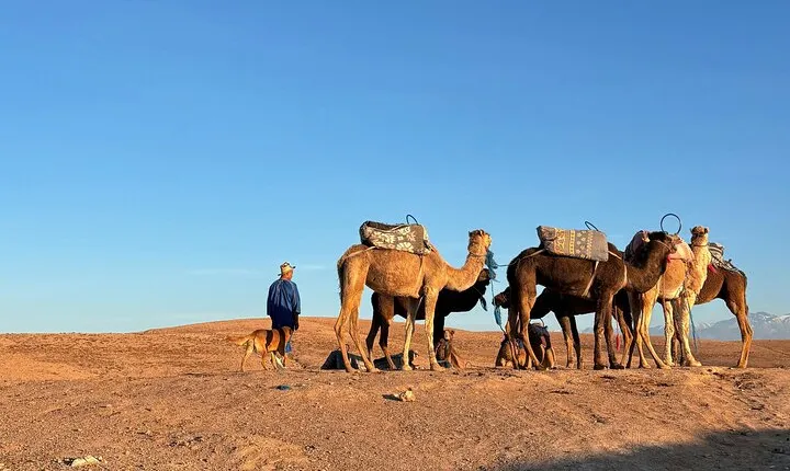 Private Agafay Desert Trip with Camel ride Tour.