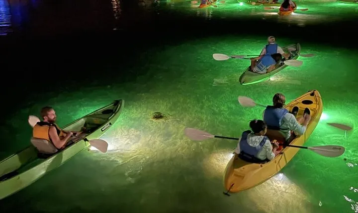 Sharkey's Glass Bottom Fish Feeding LED Night Tour in Clearwater