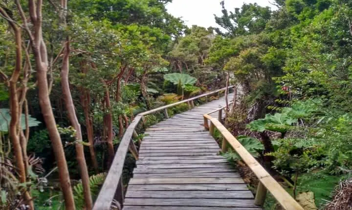 Chiloe National Park and Chonchi "Darwin Route"