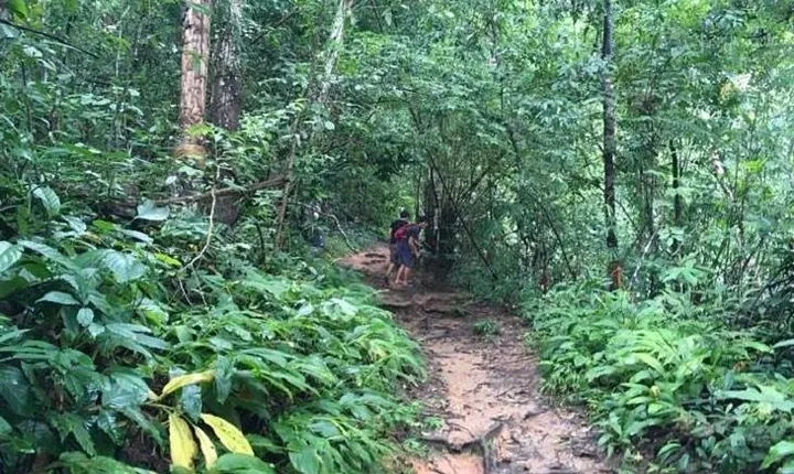 Trekking at the Monk Trail and Doi Suthep Temple Private Tour
