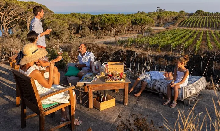 Winemaker's Alcove at Tenuta delle Ripalte