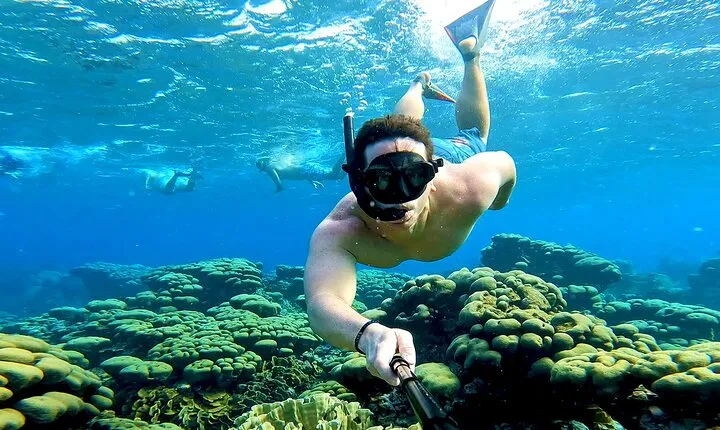 Private Angelfish Snorkeling with Brunch in Aruba