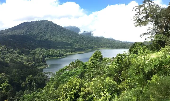 Bali Jungle Trekking in Beautiful Rainforest