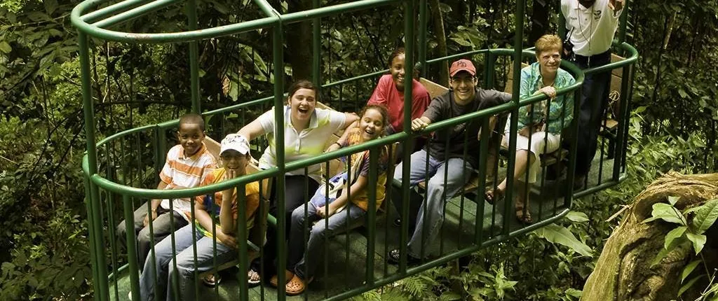 St Lucia Aerial Tram Tour