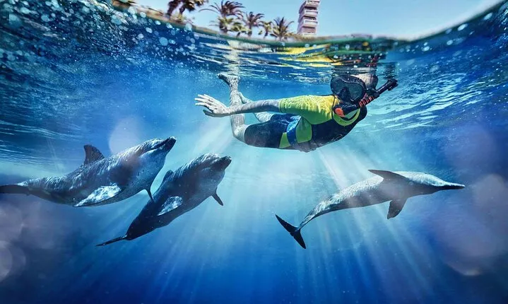 Atlantis Aquaventure Dubai Ticket