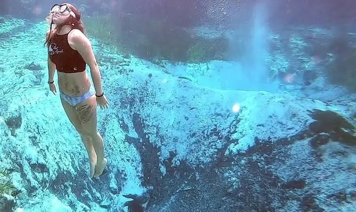 Three Sisters Springs Kayak And Swim Eco-Tour Crystal River