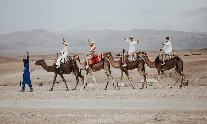 Desert Agafay Day Trip and Atlas Mountains from Marrakech
