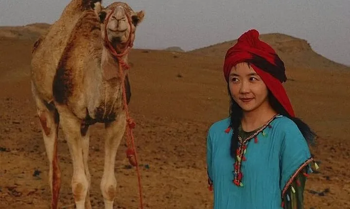 Marrakech desert dinner & sunset camel ride & bonfire music dance