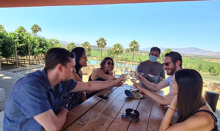 Guadalupe Wine Valley Tour