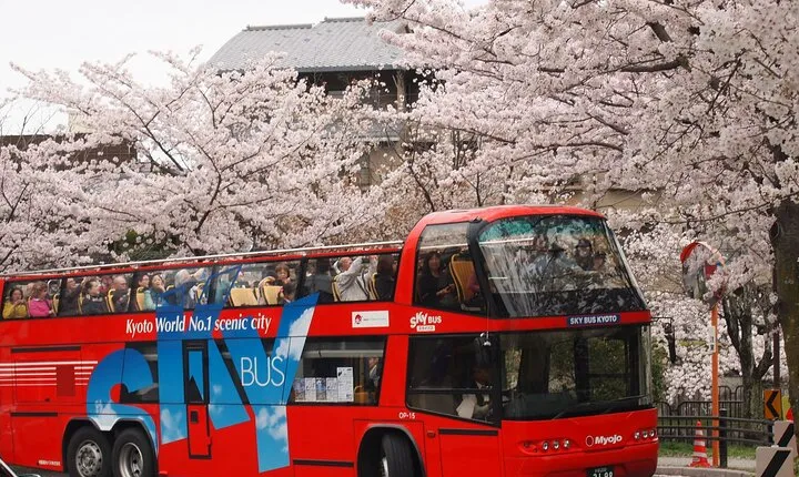 Kyoto Hop-On, Hop-Off Sightseeing Bus Tour