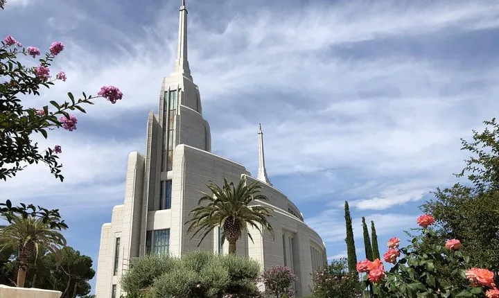 Rome: 3-hours visit of Rome Italy Temple (private cab)