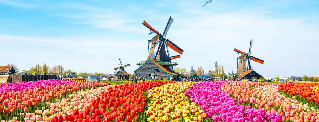 Zaanse Schans walking self-guided audio tour