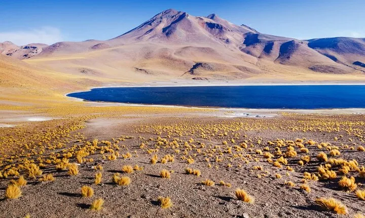 Altiplanic Lagoons and Piedras Rojas