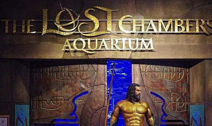 Dubai Lost Chamber Aquarium Atlantis Ticket wth optional transfer